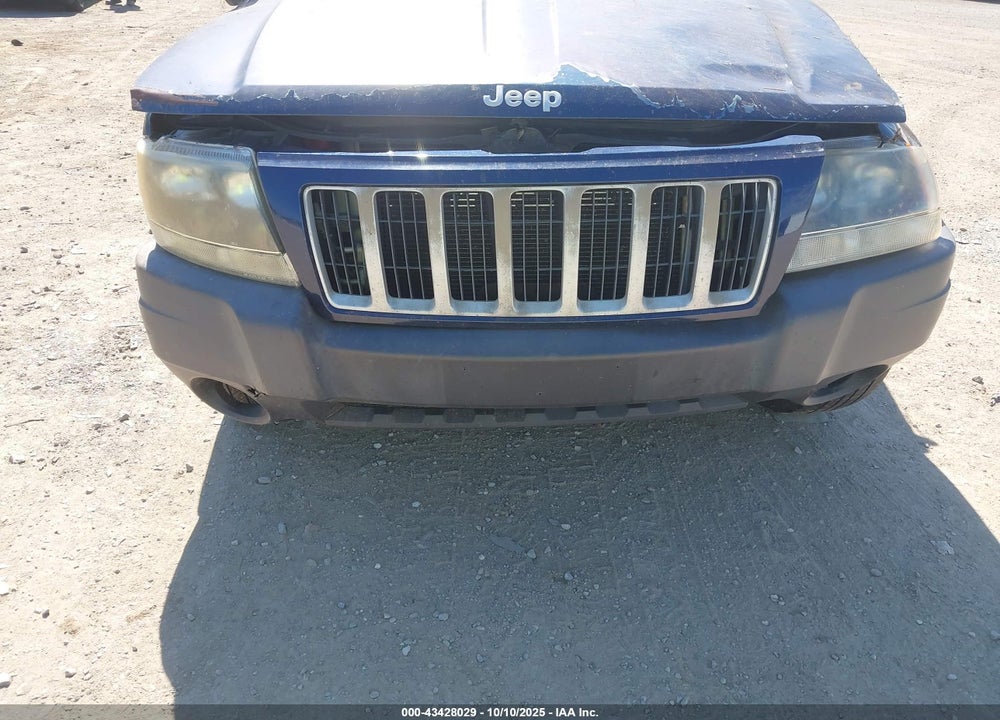 2004 JEEP GRAND CHEROKEE LAREDO VIN: 1J4GW48S94C280879