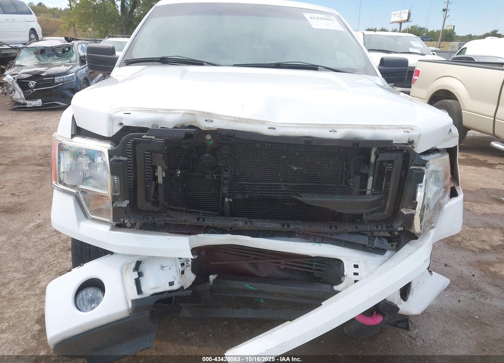 2013 FORD F-150 STX VIN: 1FTFX1EF9DFA52657