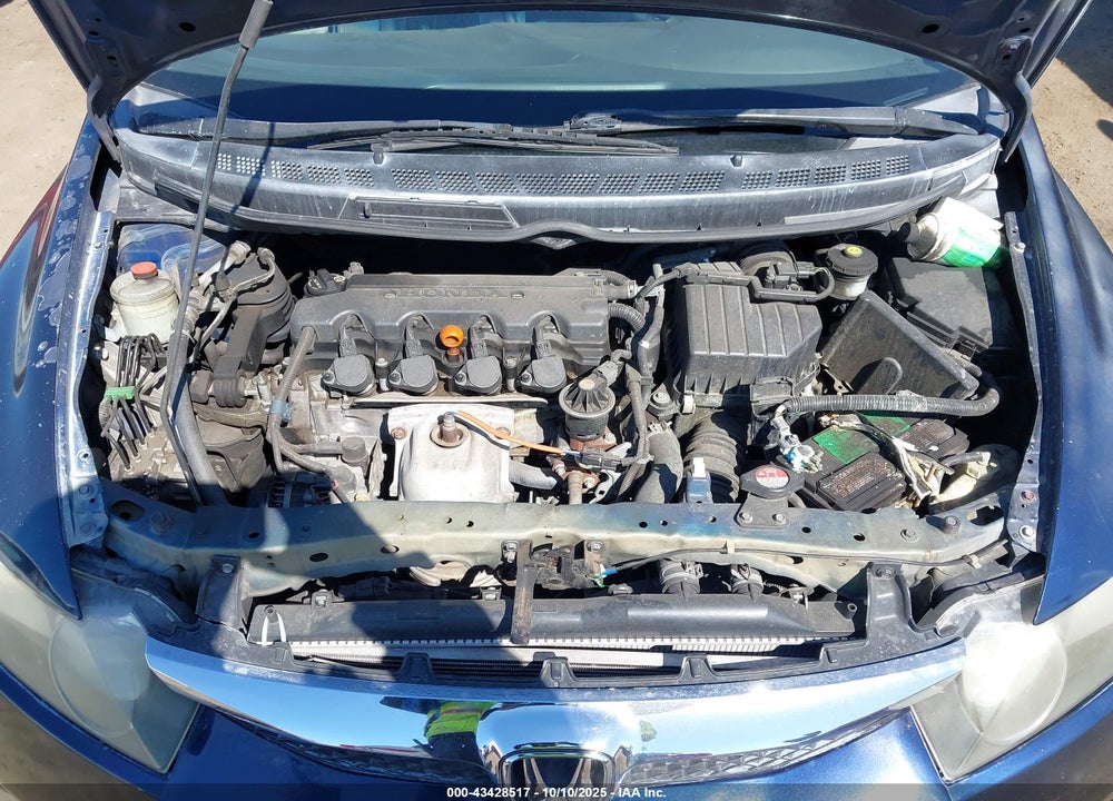 2011 HONDA CIVIC LX VIN: 2HGFA1F55BH505354