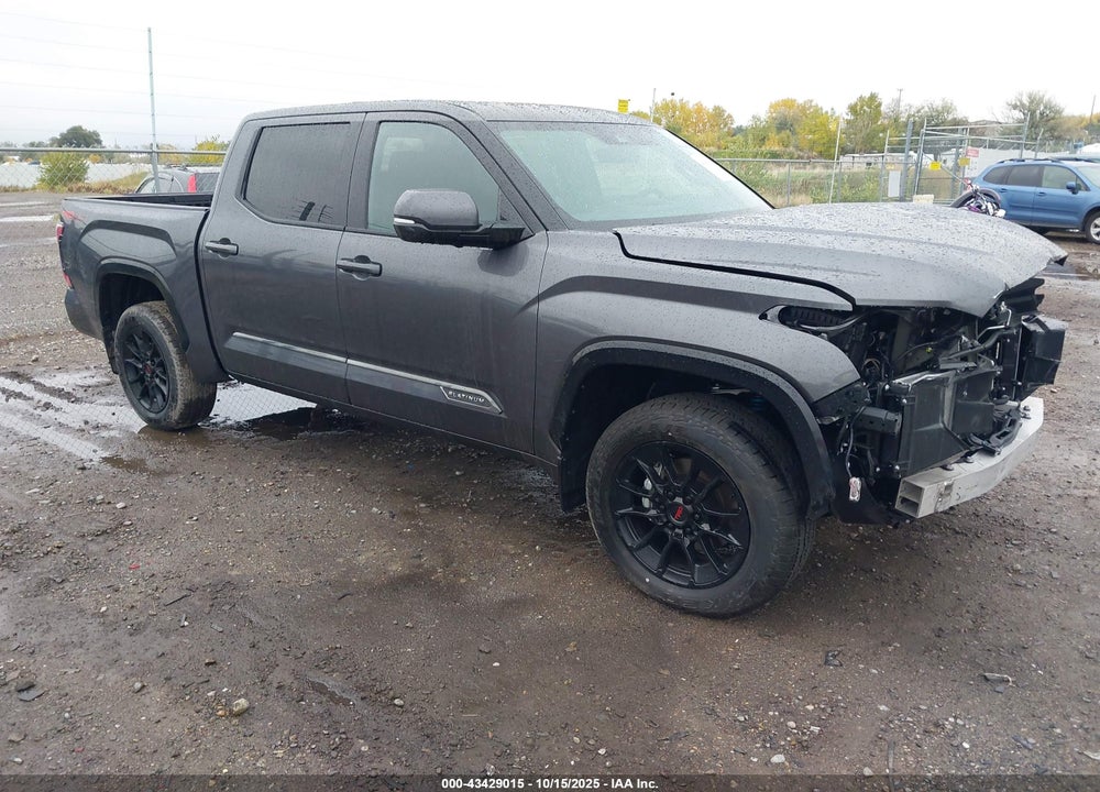 2025 TOYOTA TUNDRA PLATINUM 4WD VIN: 5TFWA5DB9SX328561
