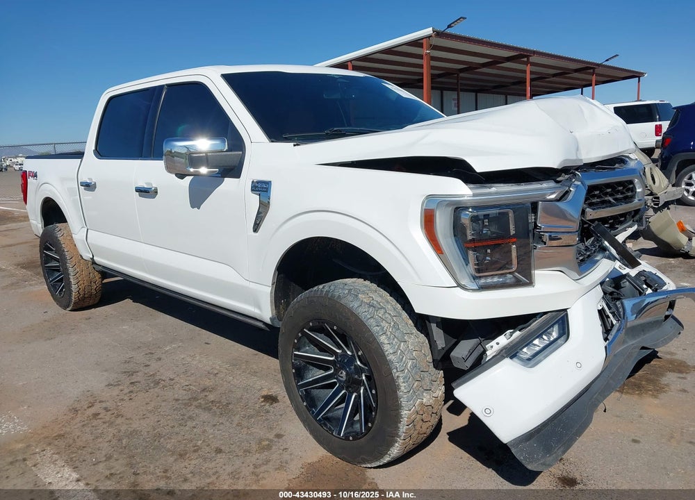 2023 FORD F-150 PLATINUM VIN: 1FTFW1E86PFA83356