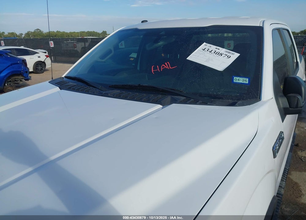 2019 FORD F-150 XL VIN: 1FTEW1CP6KKC75253