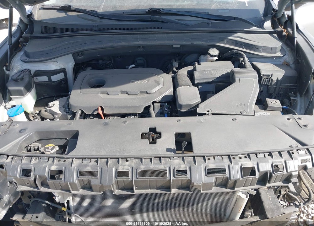 2020 HYUNDAI SANTA FE VIN: 5NMS23AD6LH198559