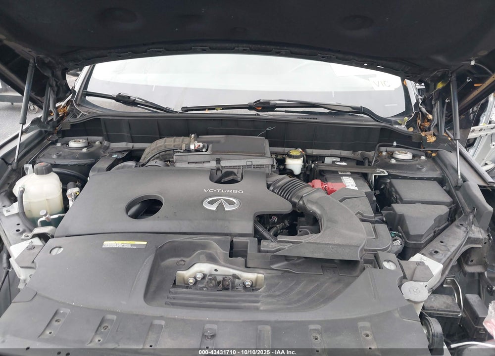 2019 INFINITI QX50 LUXE VIN: 3PCAJ5M14KF137237