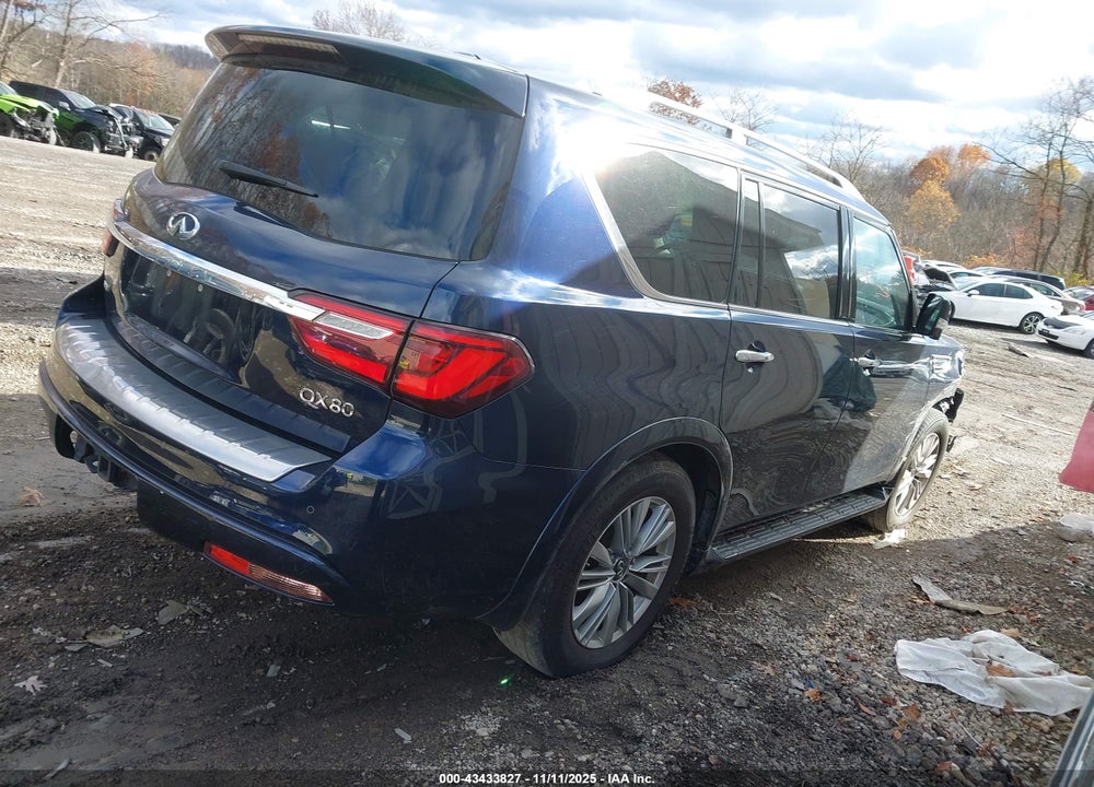 2020 INFINITI QX80 VIN: JN8AZ2NE5L9253667