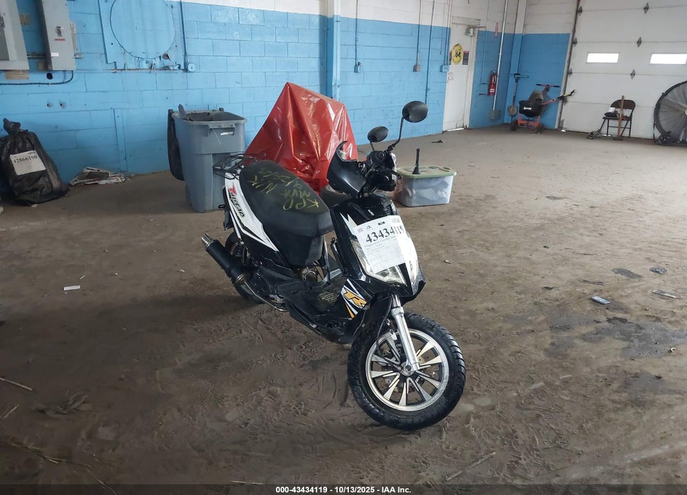 2016 TAO TAO MOPED VIN: L9NTEACX6G1301181