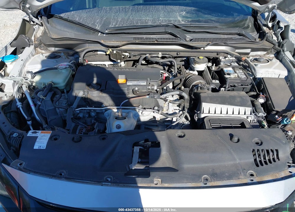 2019 HONDA CIVIC VIN: 2HGFC2F83KH552487