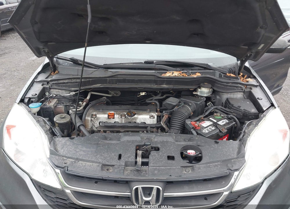 2010 HONDA CR-V LX VIN: 5J6RE4H36AL059515