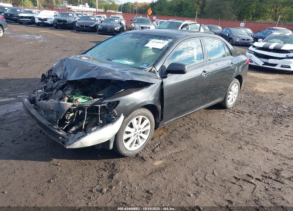 2010 TOYOTA COROLLA VIN: 2T1BU4EE5AC296813