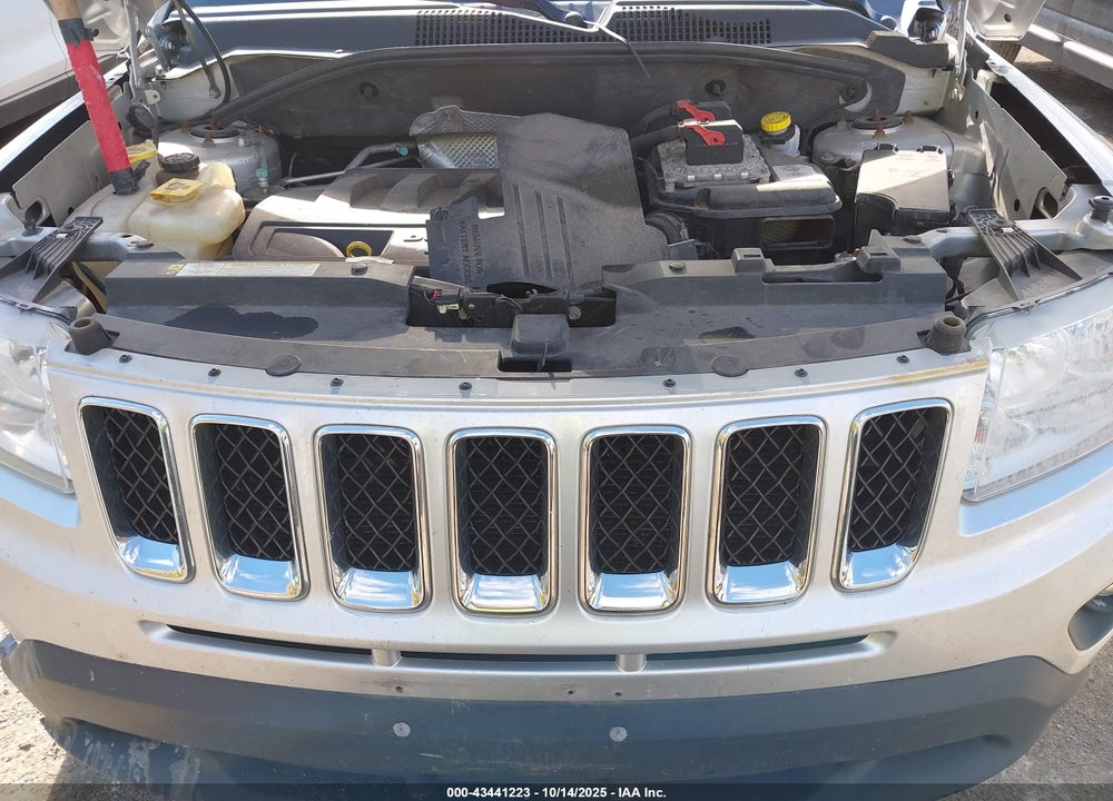 2011 JEEP COMPASS VIN: 1J4NF1FB2BD239235