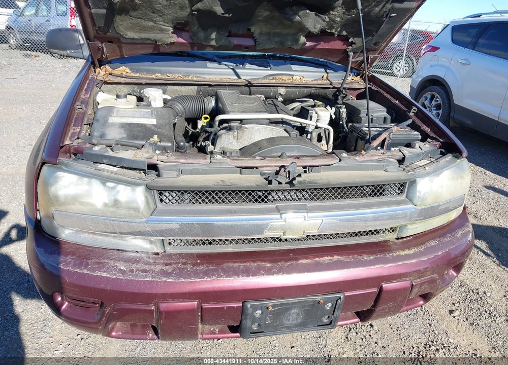2006 CHEVROLET TRAILBLAZER VIN: 1GNDT13S962119956