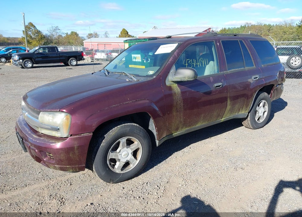 2006 CHEVROLET TRAILBLAZER VIN: 1GNDT13S962119956