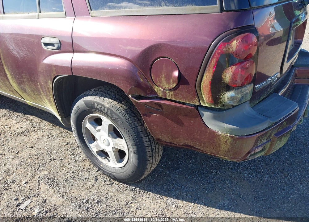 2006 CHEVROLET TRAILBLAZER VIN: 1GNDT13S962119956