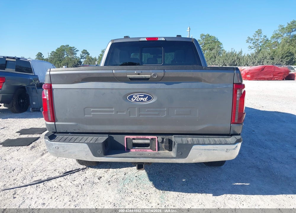 2024 FORD F-150 VIN: 1FTFW3LD1RFB05679