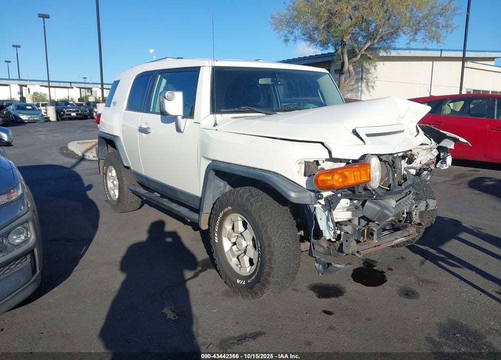 2010 TOYOTA FJ CRUISER VIN: JTEZU4BF0AK009769
