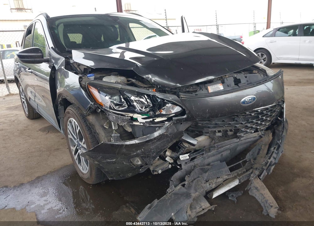2020 FORD ESCAPE VIN: 1FMCU0H67LUA79542