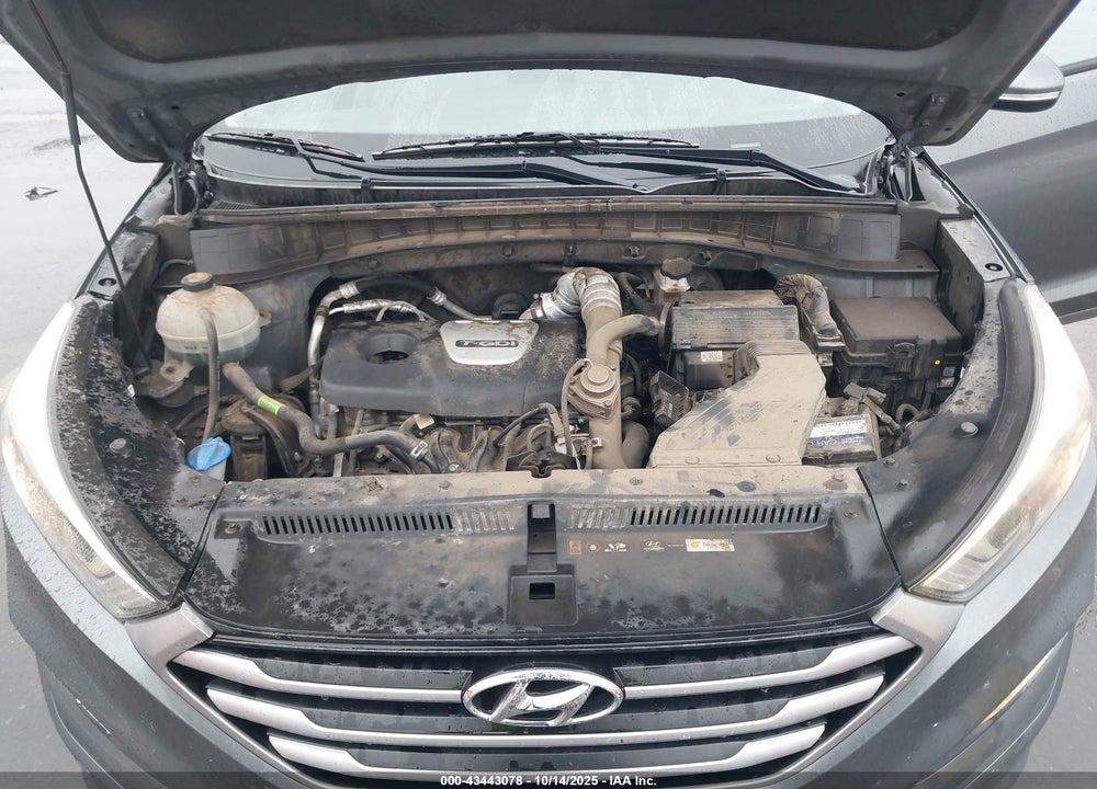 2017 HYUNDAI TUCSON VALUE VIN: KM8J33A25HU562778