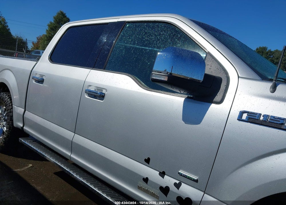 2015 FORD F-150 XLT VIN: 1FTEW1CGXFFD01870