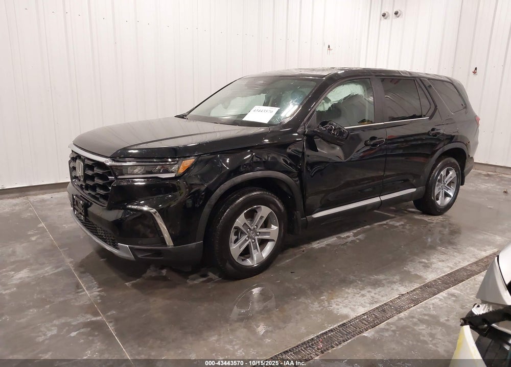 2025 HONDA PILOT EX-L VIN: 5FNYG1H49SB087946