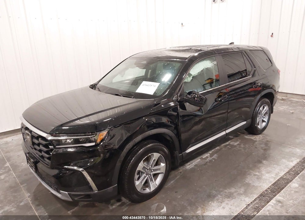 2025 HONDA PILOT EX-L VIN: 5FNYG1H49SB087946