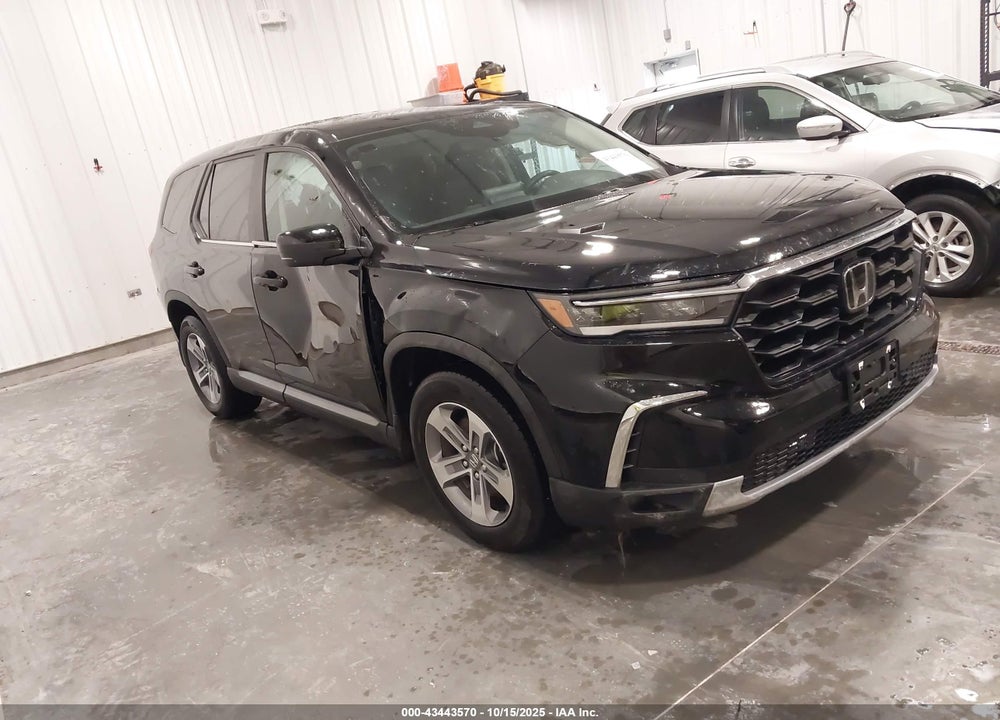 2025 HONDA PILOT EX-L VIN: 5FNYG1H49SB087946