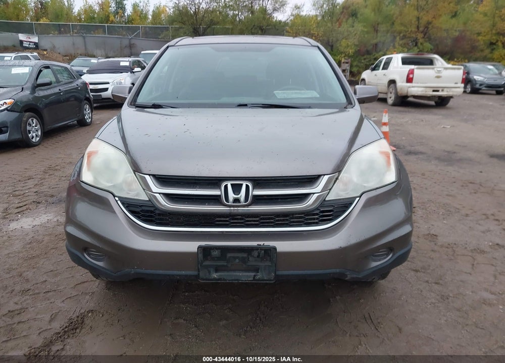 2010 HONDA CR-V VIN: 5J6RE4H76AL099306