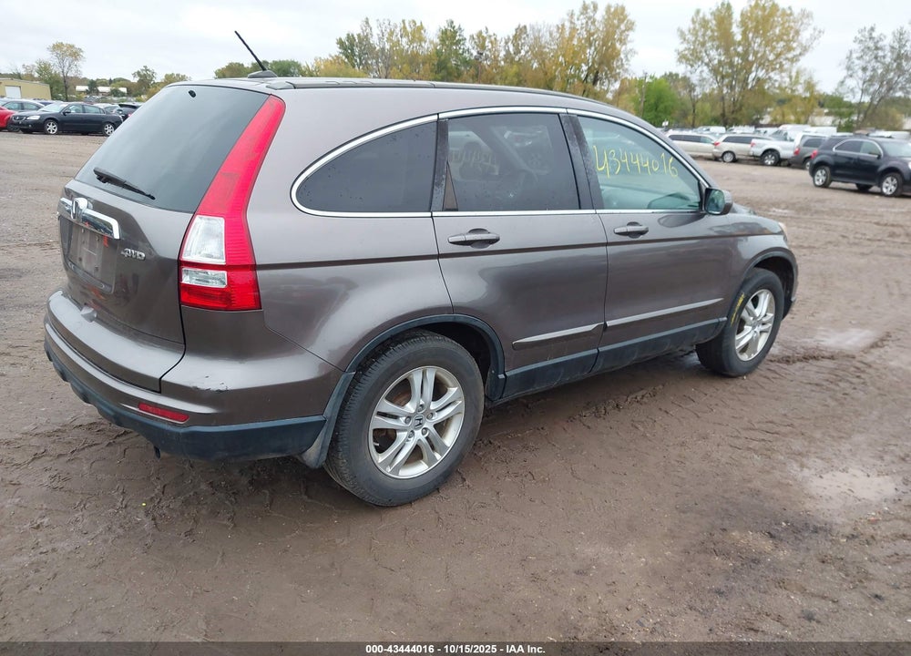2010 HONDA CR-V VIN: 5J6RE4H76AL099306