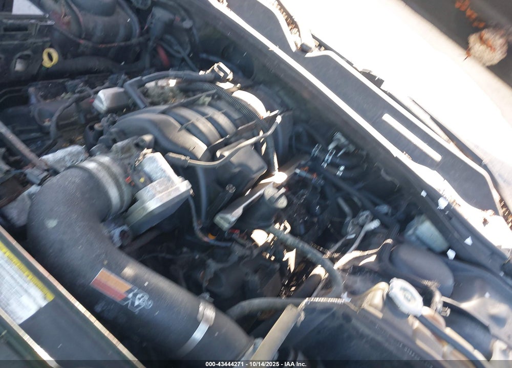 2009 DODGE CHALLENGER VIN: 2B3LJ54T59H509765