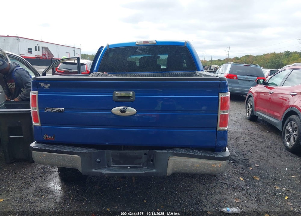 2012 FORD F-150 VIN: 1FTFW1EFXCFB20224