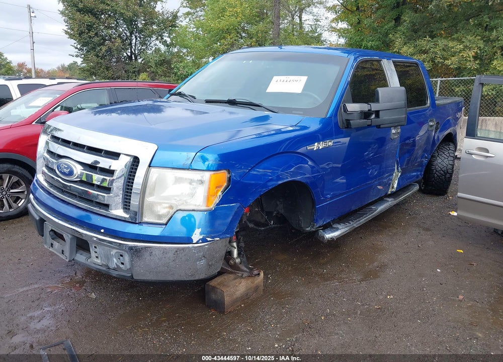 2012 FORD F-150 VIN: 1FTFW1EFXCFB20224