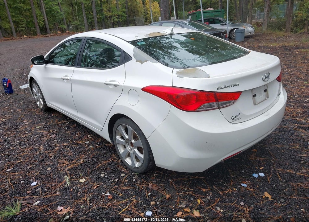 2013 HYUNDAI ELANTRA VIN: 5NPDH4AE7DH204122
