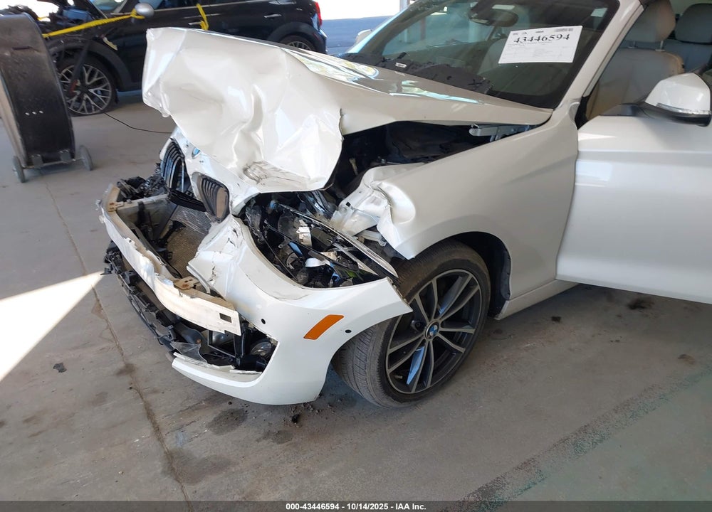 2018 BMW 230I XDRIVE VIN: WBA2K1C54JVB64663