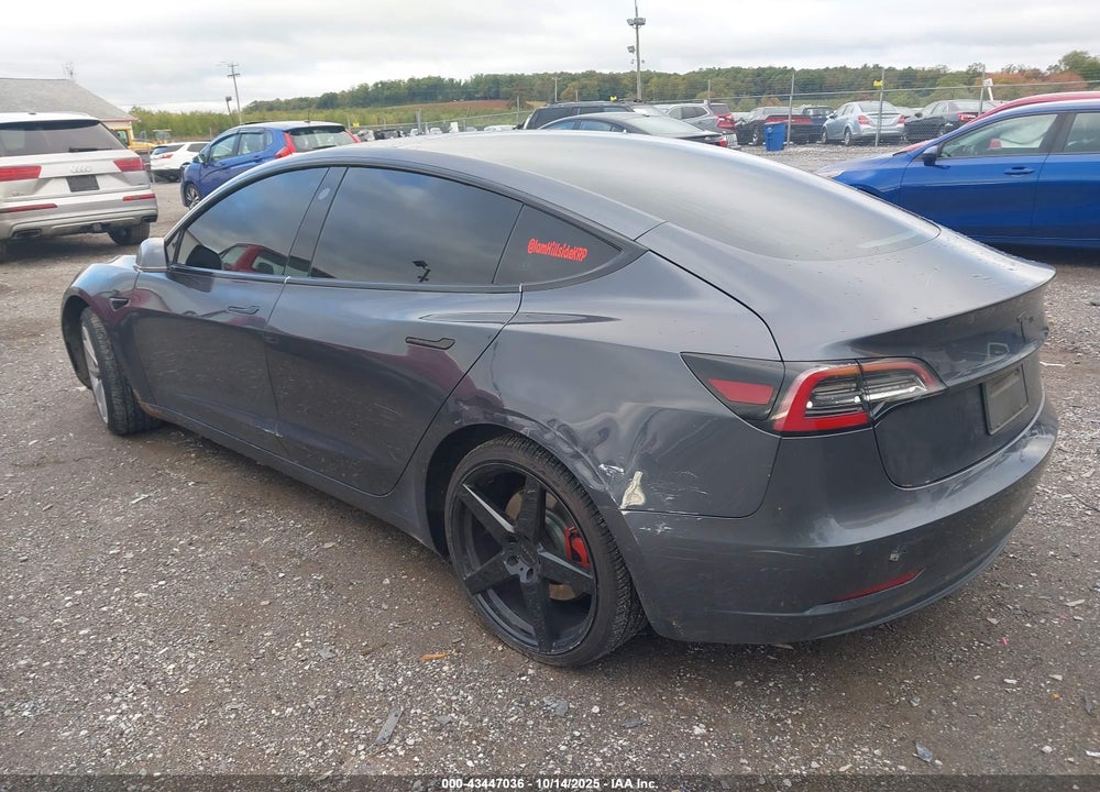 2019 TESLA MODEL 3 LONG RANGE/PERFORMANCE VIN: 5YJ3E1EB1KF453529