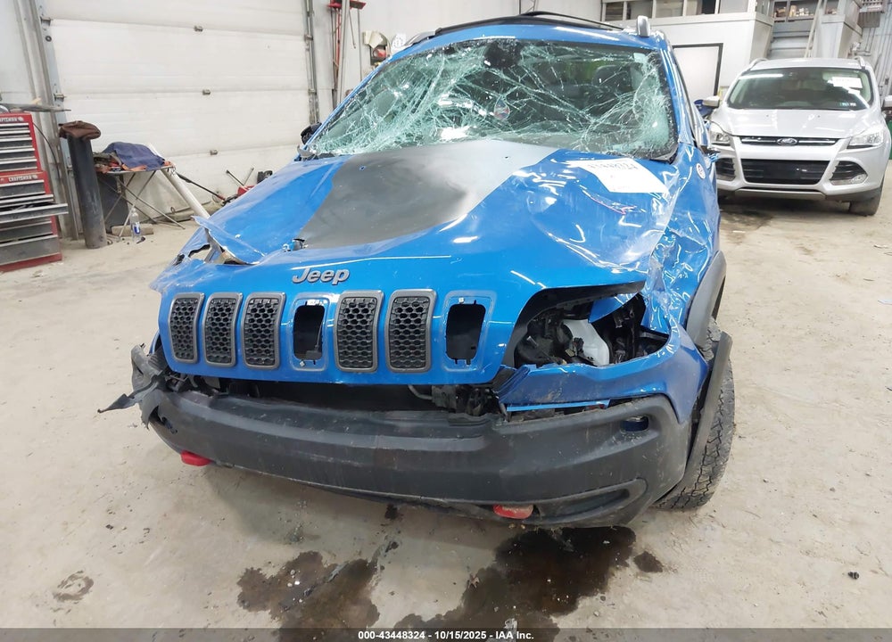 2019 JEEP CHEROKEE TRAILHAWK 4X4 VIN: 1C4PJMBX3KD341787