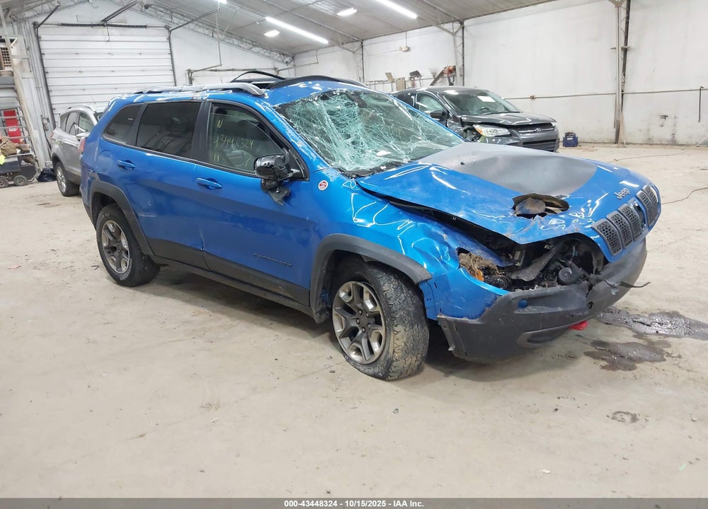 2019 JEEP CHEROKEE TRAILHAWK 4X4 VIN: 1C4PJMBX3KD341787