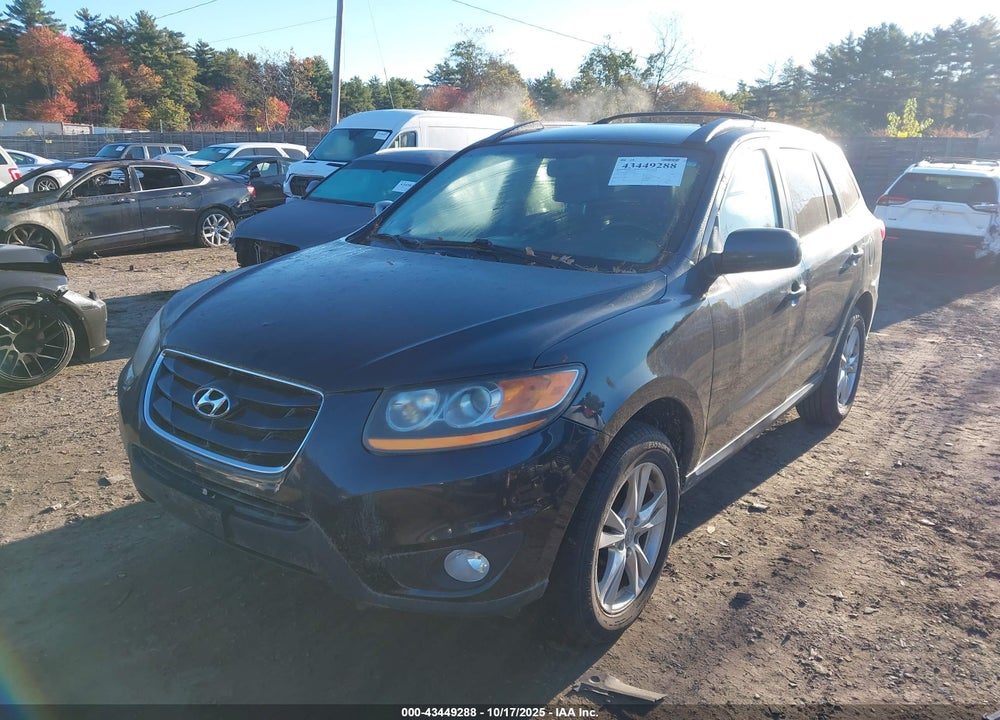 2010 HYUNDAI SANTA FE VIN: 5NMSHDAG3AH346663