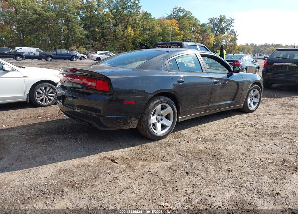 2014 DODGE CHARGER POLICE VIN: 2C3CDXAT9EH124746