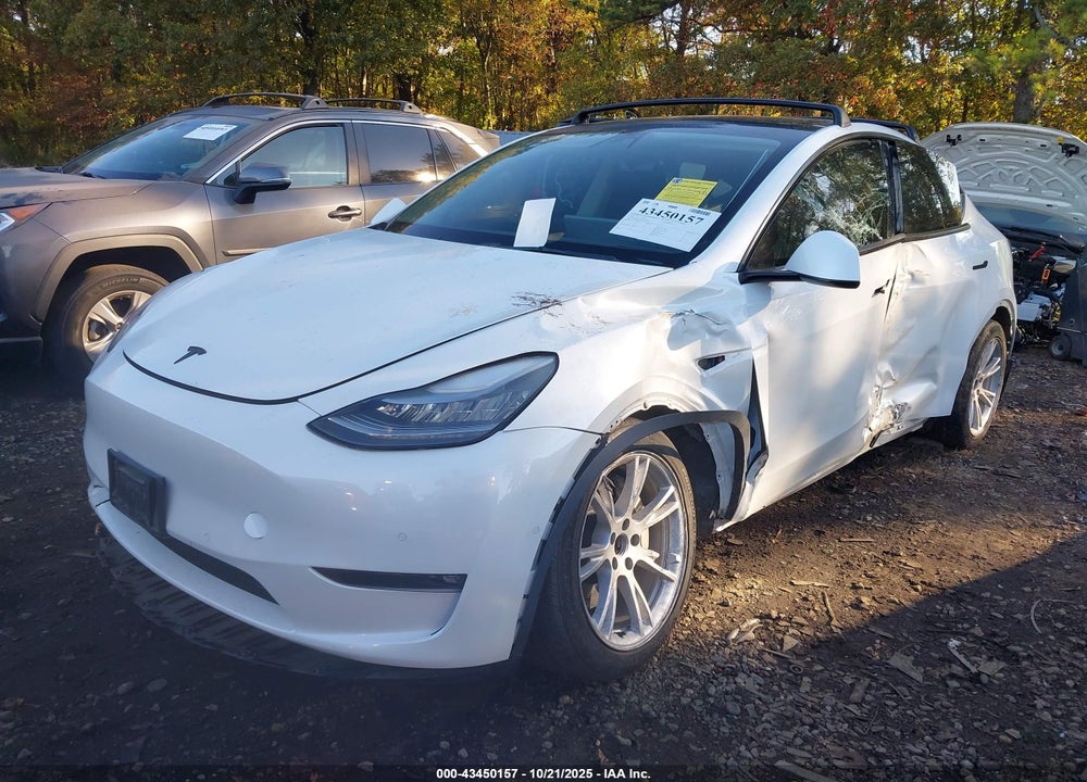 2021 TESLA MODEL Y VIN: 5YJYGAED9MF176519