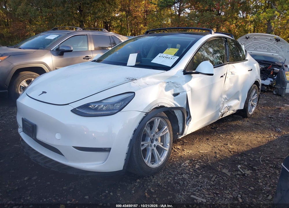 2021 TESLA MODEL Y VIN: 5YJYGAED9MF176519
