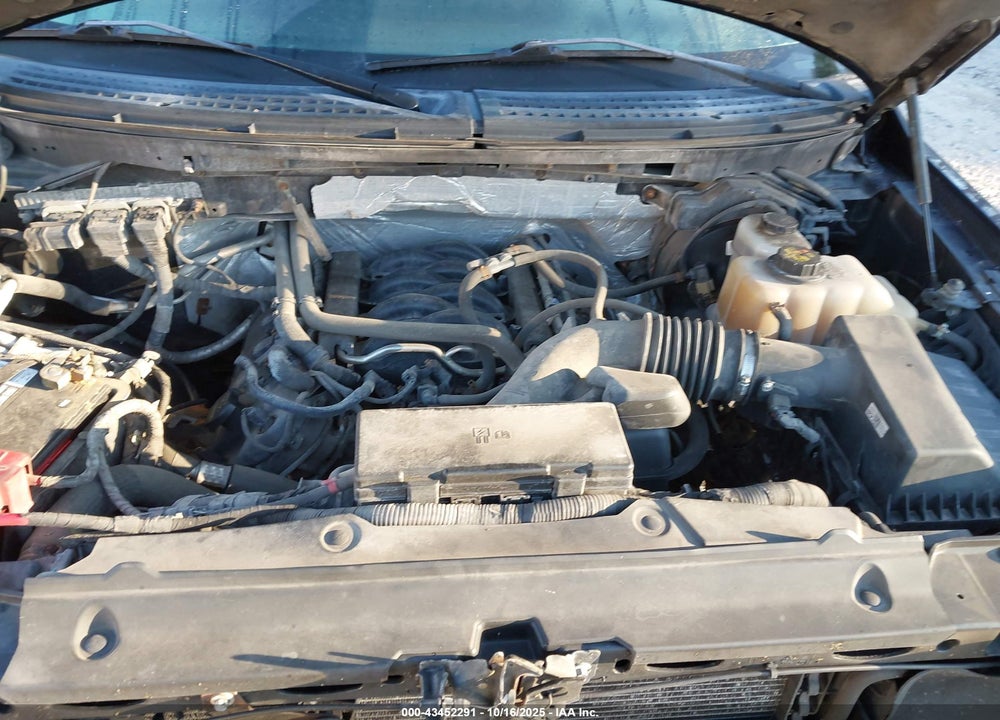 2013 FORD F-150 VIN: 1FTFW1EF1DFA59556