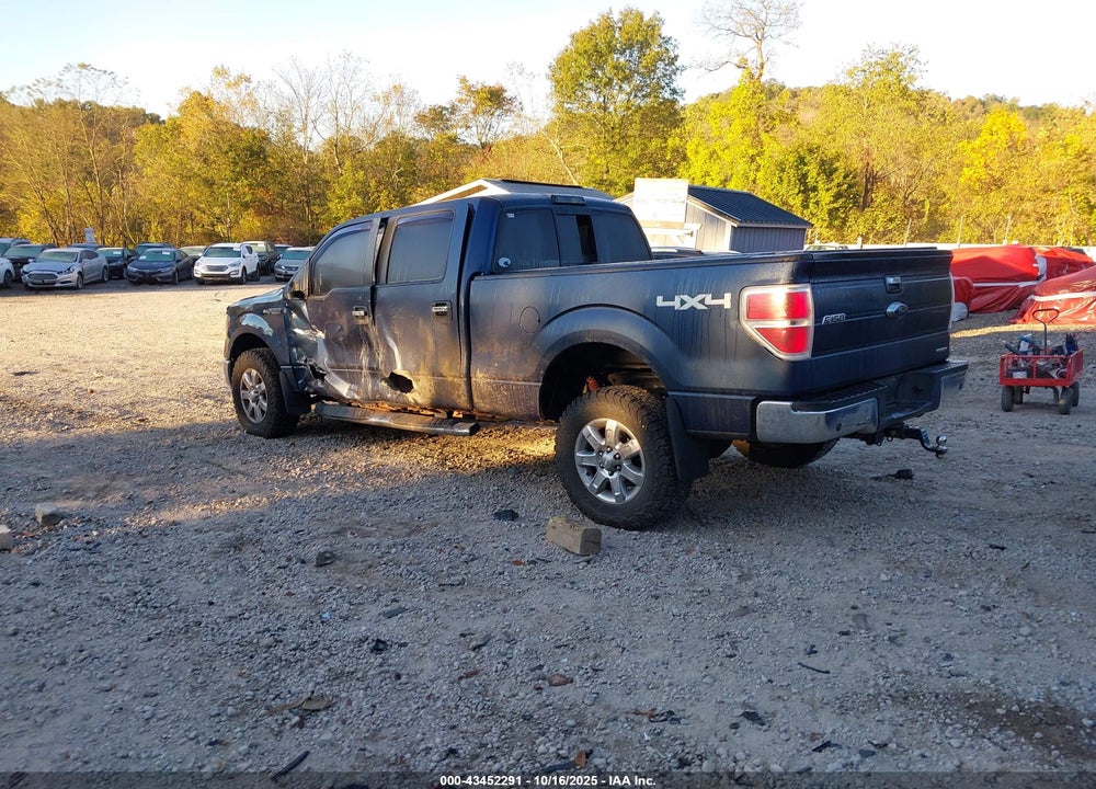 2013 FORD F-150 VIN: 1FTFW1EF1DFA59556