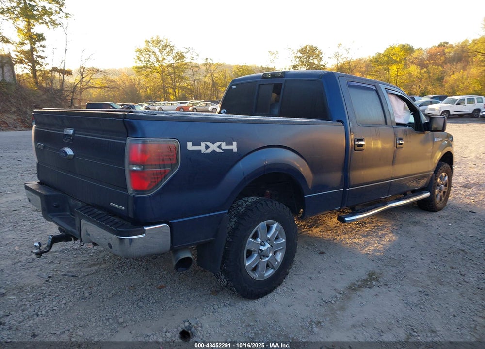 2013 FORD F-150 VIN: 1FTFW1EF1DFA59556