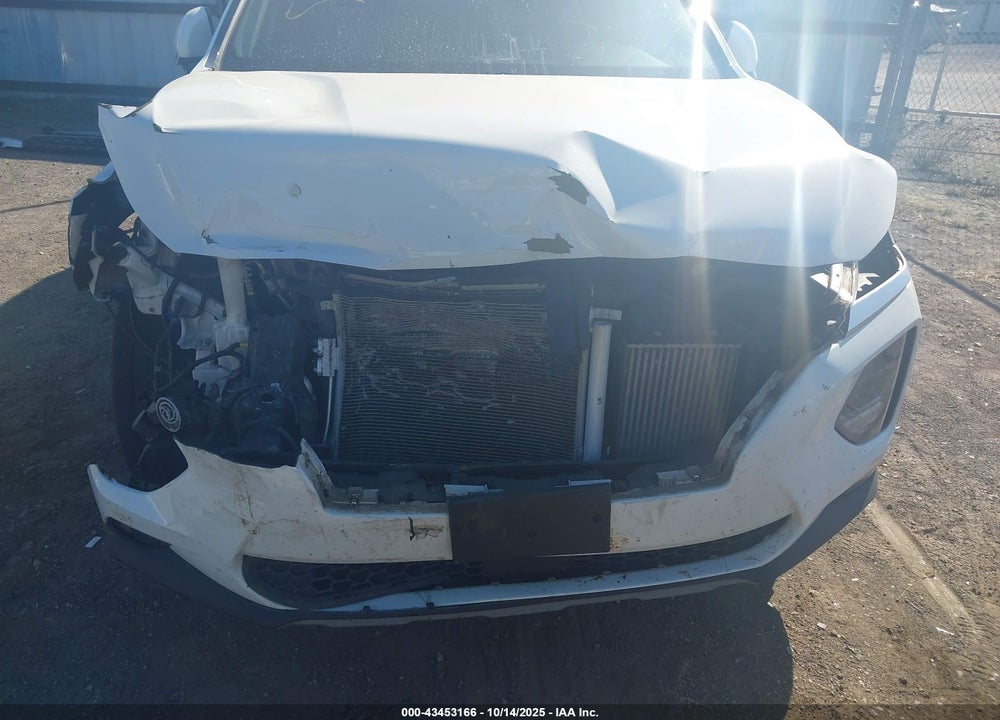 2019 HYUNDAI SANTA FE VIN: 5NMS53AA0KH025423