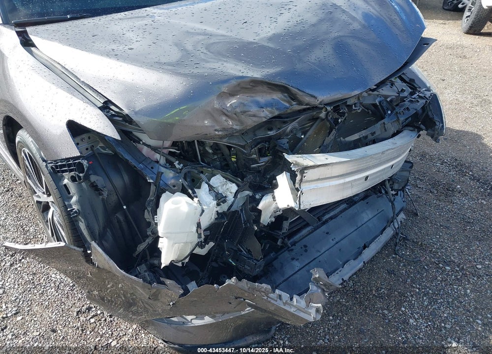 2019 TOYOTA CAMRY SE VIN: 4T1B11HK2KU789938