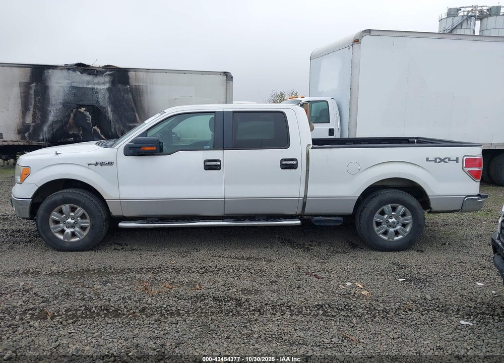 2011 FORD F-150 XLT VIN: 1FTFW1EF8BKD49507