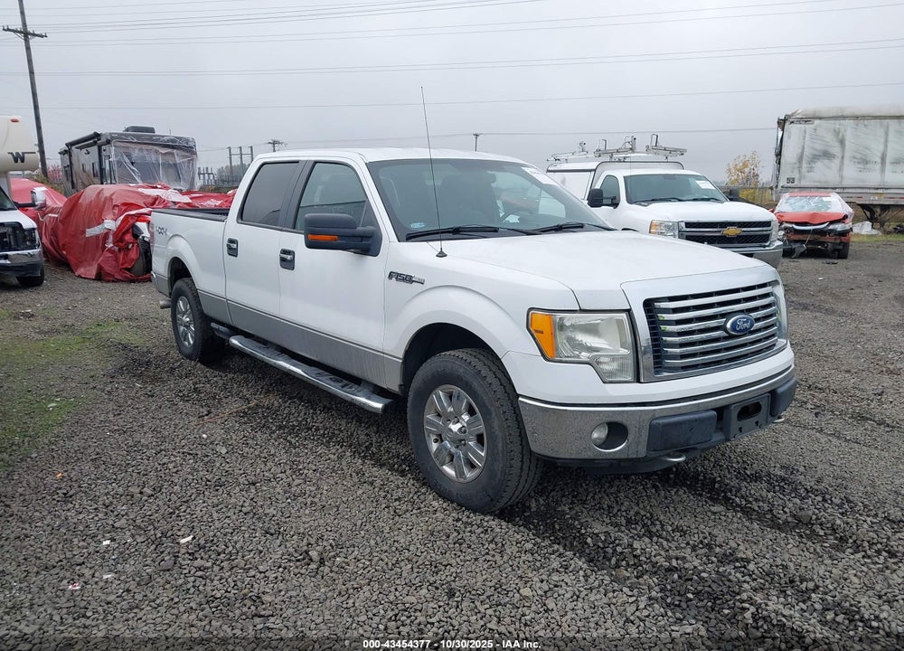2011 FORD F-150 XLT VIN: 1FTFW1EF8BKD49507
