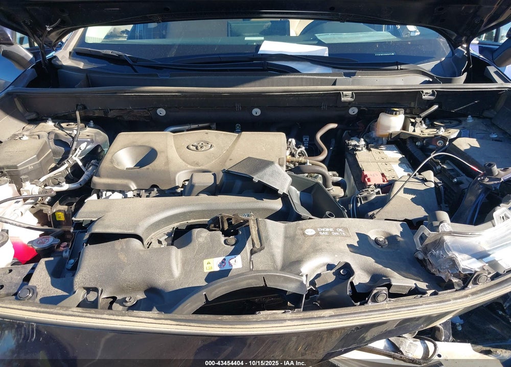2023 TOYOTA RAV4 XLE VIN: 2T3P1RFV1PW334224
