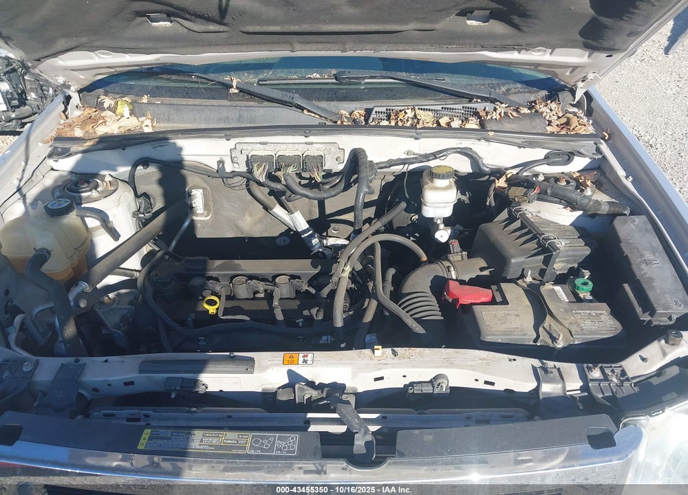 2010 FORD ESCAPE XLT VIN: 1FMCU9D72AKA42605
