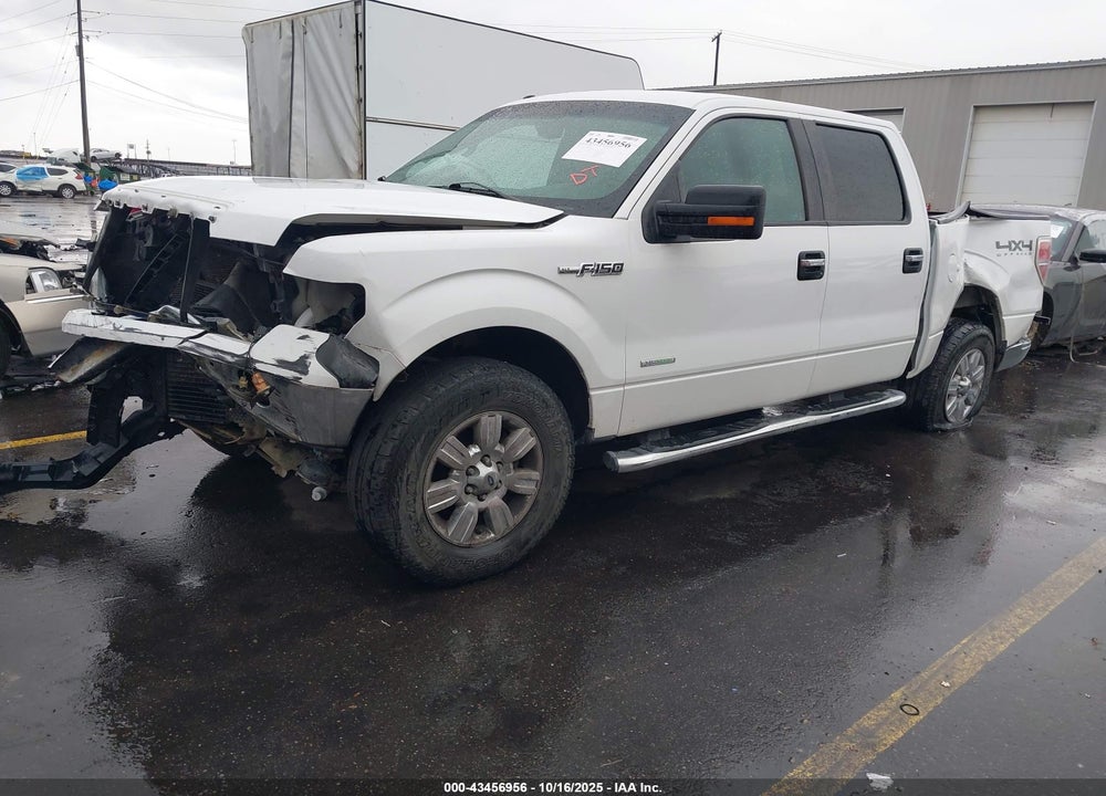 2012 FORD F-150 XLT VIN: 1FTFW1ETXCFB02697