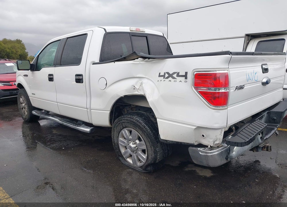 2012 FORD F-150 XLT VIN: 1FTFW1ETXCFB02697